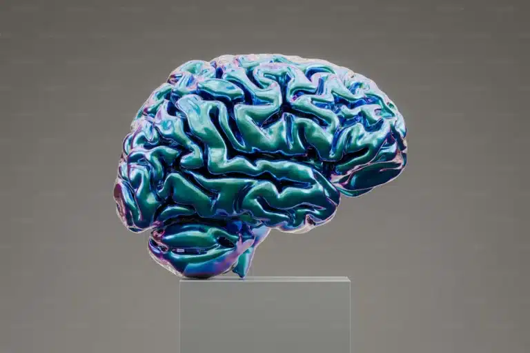 2024台北市信義區5大失智症照護據點比較：專業評估與家屬真實心得分享